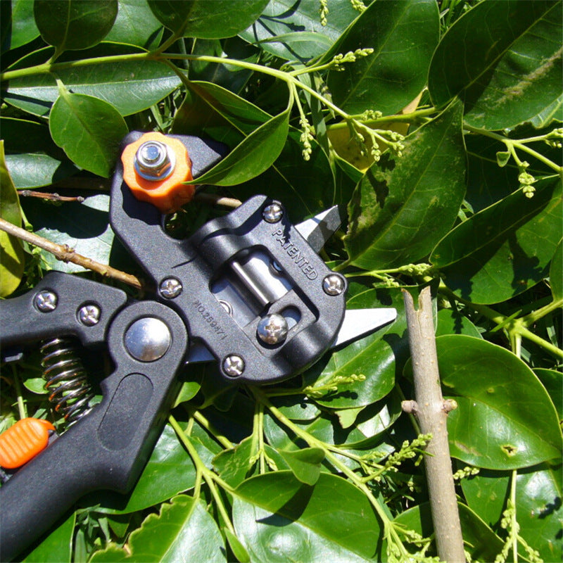 Professional Grafting Shears – Precision Gardening Tool for Fruit Tree & Plant Grafting