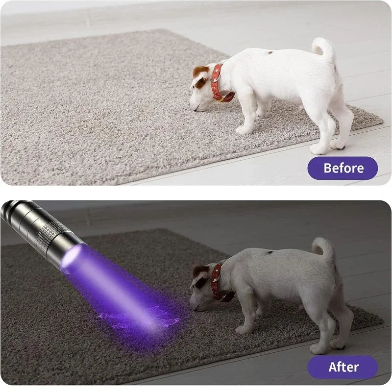 Portable UV Flashlight 395nm with Pen Clip – Ultraviolet Torch for Pet Urine Detection, Scorpion Hunting &amp; Stain Inspection – AAA Battery Powered