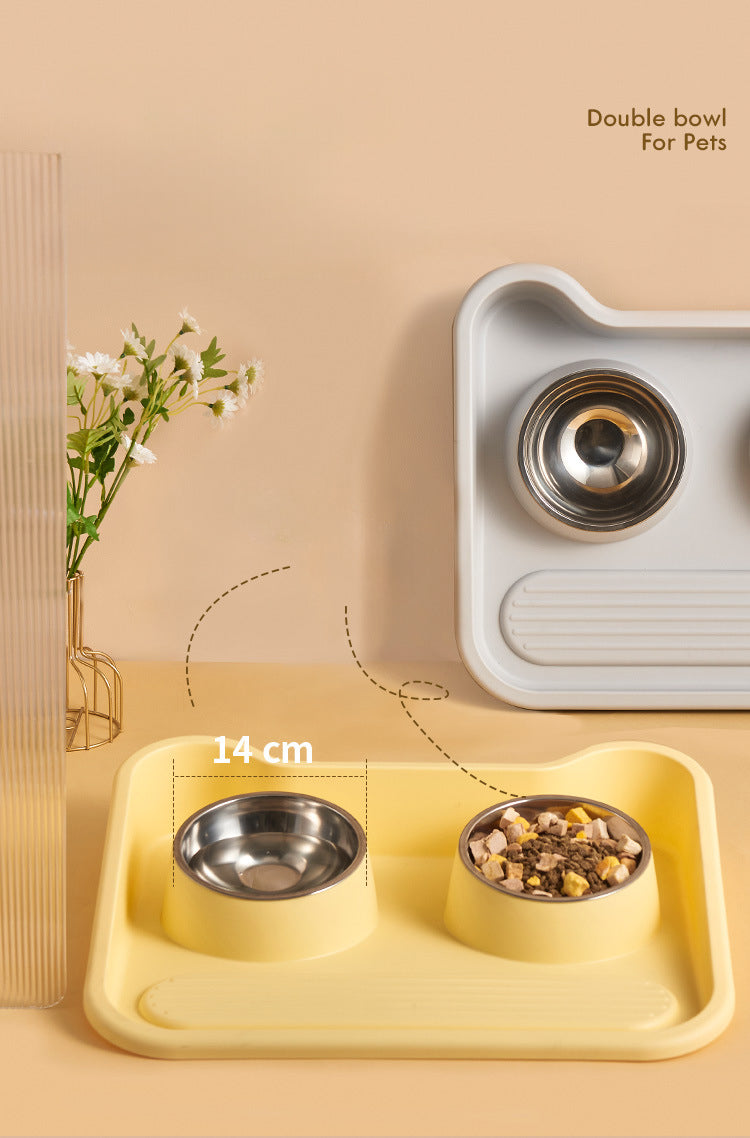 Tilted Double Stainless Steel Pet Bowl – Leak-Proof, Neck-Protecting Feeder for Cats & Dogs